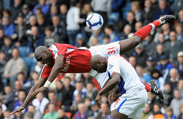 广州蒲公英 广州蒲公英