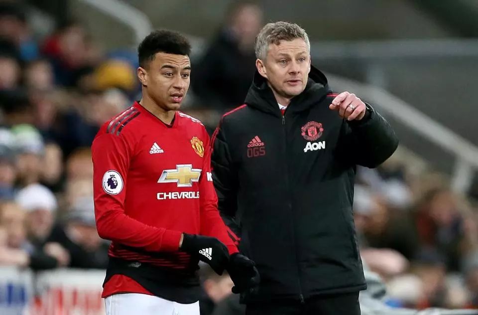 赛季的培养 赛季的培养